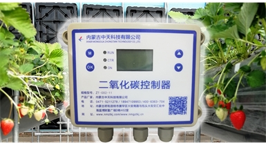 中國北方CO?新技術(shù)，將促進(jìn)農作物光合作用和光合產(chǎn)物的生成