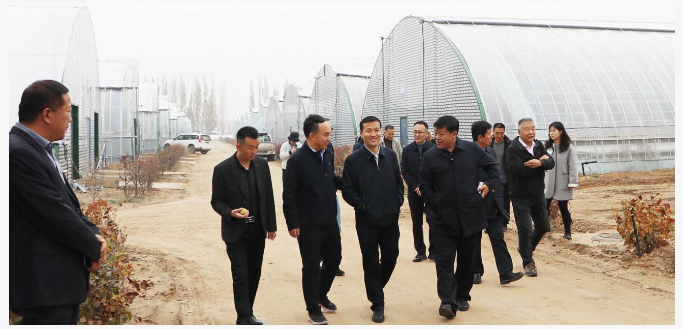 準格爾旗現(xiàn)代智慧設施農(nóng)業(yè)產(chǎn)業(yè)園（網(wǎng)頁）_27.jpg