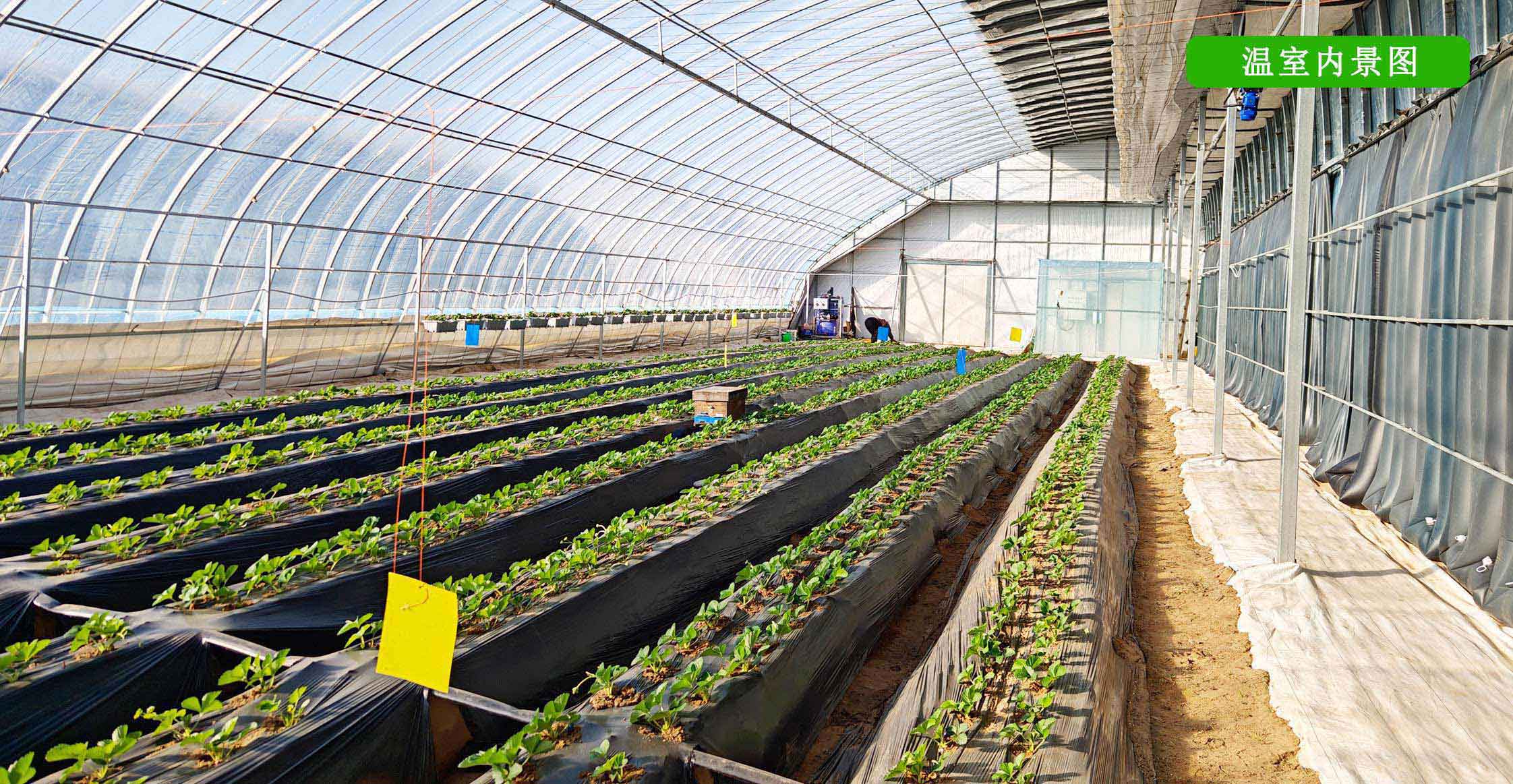 2、全天候四季溫室網(wǎng)頁(yè)_12.jpg