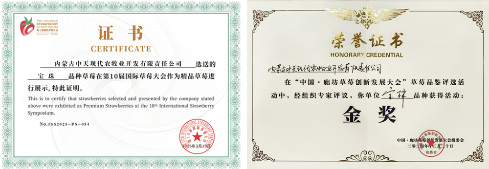 第10屆國際草大會(huì)作為精品草莓進(jìn)行展示切.jpg